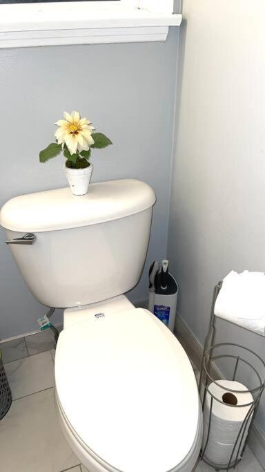 Space X ,Lax & Beaches Beautiful Guest House Gardena Luaran gambar